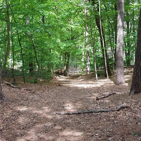 4 Person In Oksbol-by Traum Dom wakacyjny Oksbøl