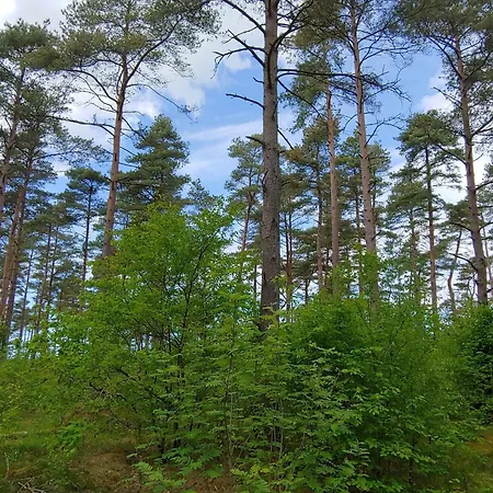 4 Person In Oksbol-by Traum Prázdninový dům *