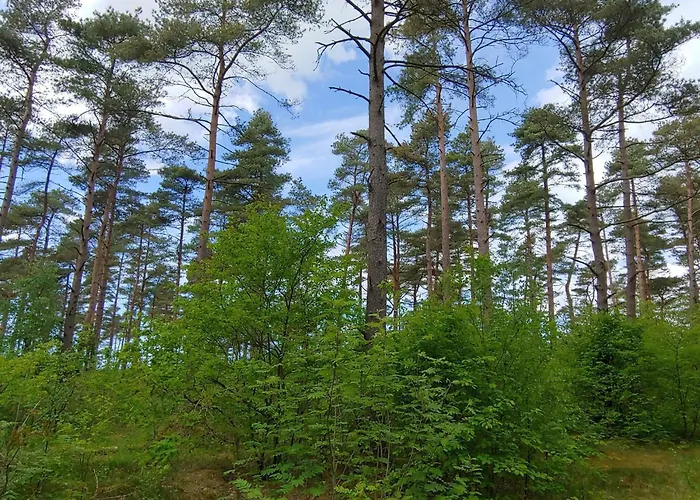 4 Person In Oksbol-by Traum Сasa de vacaciones *
